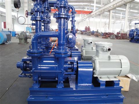 2BE3液環(huán)真空泵及壓縮機 沃爾姆國產(chǎn)品牌的卓越選擇