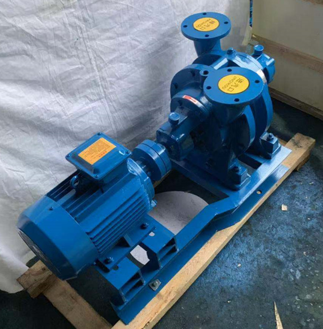 水環(huán)式真空泵排氣口冒煙原因分析與解決方案