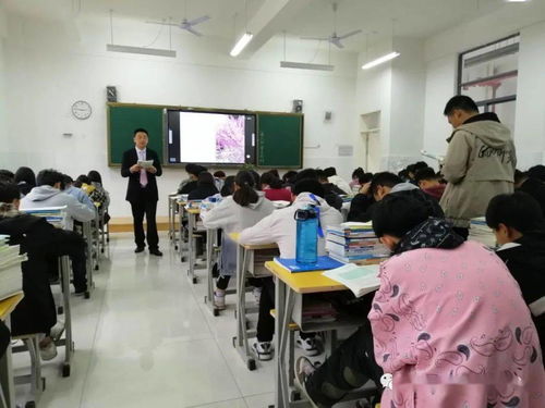 信息技術(shù)服務(wù)學(xué)部公開課教研精雕細(xì)琢，賦能職業(yè)教育咨詢新高度——記蒙城縣職業(yè)教育中心教研活動(dòng)