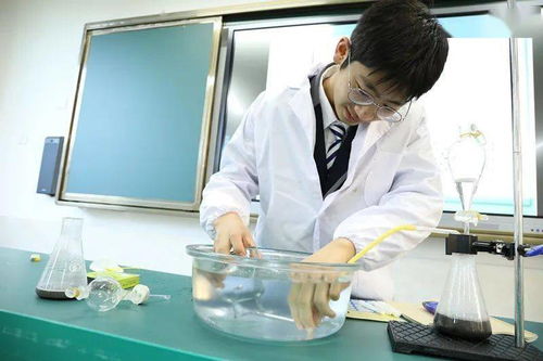 啟外教育 中高考后的新起點，通往世界名校的橋梁