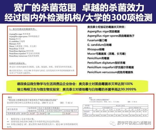 食品廠車間環境霉菌超標與旅客票務代理 跨行業的質量控制啟示